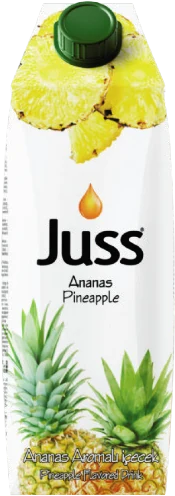 Juss Sour Cherry, 1 l Tetrabox