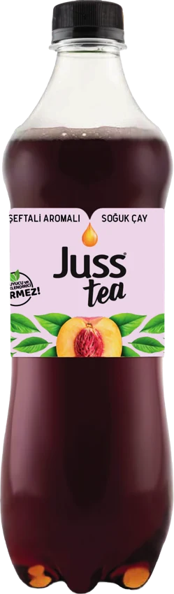 Juss Mango & Pineapple, 1 l PET bottle